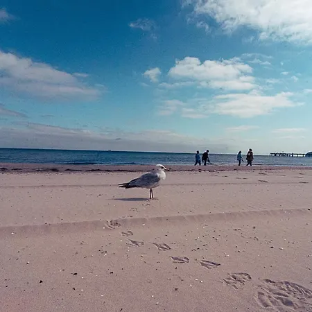 Astrids Strandmuschel * Ostseebad Binz